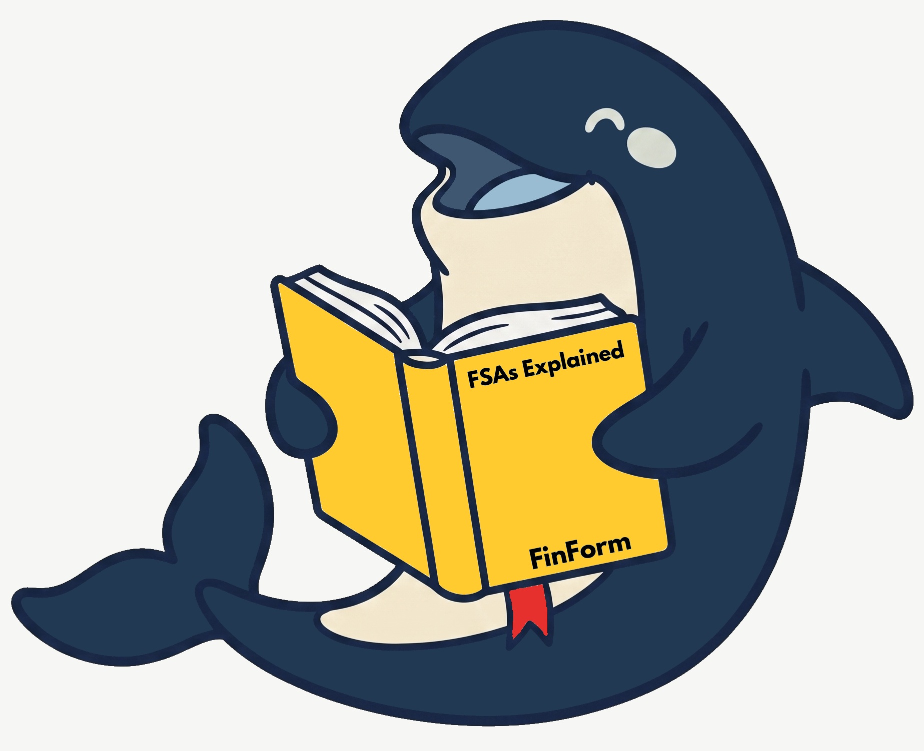 FSAs Explained
